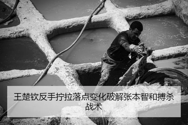 wang-chu-qin-fan-shou-ning-la-luo-dian-bian-hua-po-jie-zhang-ben-zhi-he-bo-sha-zhan-shu-1-901.jpg