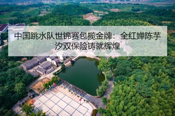 中国跳水队世锦赛包揽金牌：全红婵陈芋汐双保险铸就辉煌