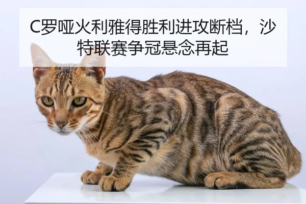 luo-ya-huo-li-ya-de-sheng-li-jin-gong-duan-dang-sha-te-lian-sai-zheng-guan-xuan-nian-zai-qi-3-621.jpg