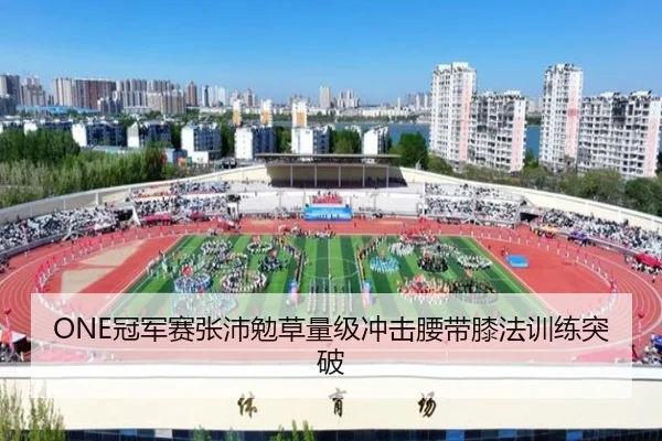 ONE冠军赛张沛勉草量级冲击腰带膝法训练突破