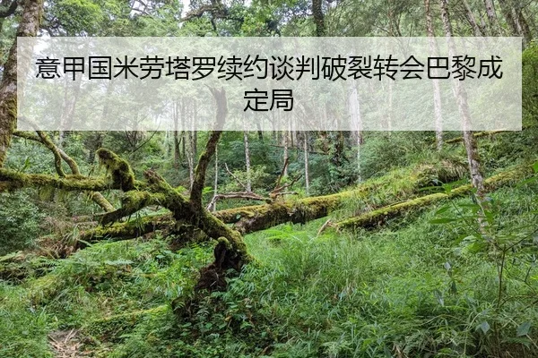yi-jia-guo-mi-lao-ta-luo-xu-yue-tan-pan-po-lie-zhuan-hui-ba-li-cheng-ding-ju-2-500.jpg