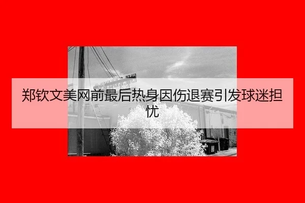 zheng-qin-wen-mei-wang-qian-zui-hou-re-shen-yin-shang-tui-sai-yin-fa-qiu-mi-dan-you-2-422.jpg