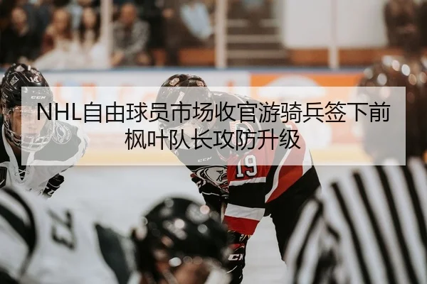 NHL自由球员市场收官游骑兵签下前枫叶队长攻防升级